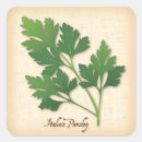 Search for parsley stickers Herb