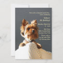 Search for puppy Family pet