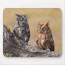 Search for screech mousepads Birds of prey