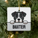 Search for american staffordshire terrier christmas tree decorations Amstaff