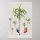 Search for exotic plants posters Botanical