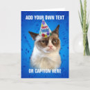 Search for grumpy cat cards Cats