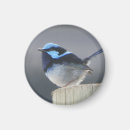 Search for bird lovers magnets Nature