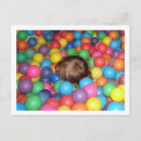Search for delight postcards Colourful