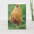 Search for buff cards Photography