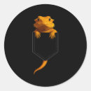 Search for beard stickers Lizard