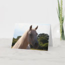 Search for bob cards Stallion