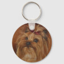 Search for yorkie accessories Portraits