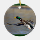 Search for mallard duck christmas tree decorations Cute