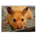 Search for farm animal calendars Sheep