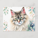Search for norwegian forest cat postcards Watercolor
