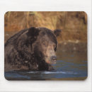 Search for steve mousepads Predator