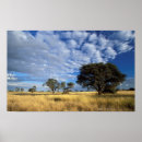 Search for cloudscape art Gallo images