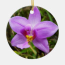 Search for orchid christmas tree decorations Tropical