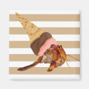 Search for hermit Whimsical