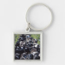 Search for dairy key rings Drink