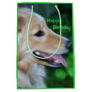 Search for golden retriever gift bags Birthday