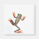 Search for blooded magnets Wildlife