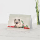Search for scarf christmas cards Kitten