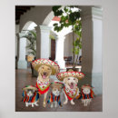 Search for amigo posters Mexican
