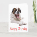 Search for st bernard postcards Puppies