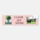 Search for i love my dog bumper stickers Dogs