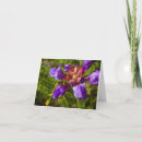 Search for insect thank you cards Wild