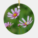 Search for cosmos christmas tree decorations Garden