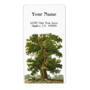 Search for oak tree labels Vintage