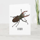 Search for beetle cards Insect