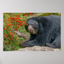 Search for spectacle posters Nature