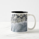 Search for jayne mugs Nobody