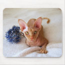 Search for sphinx mousepads Cat