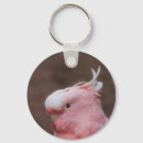 Search for cockatoo key rings Wildlife