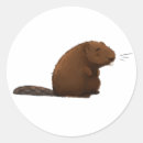 Search for beaver stickers Brown