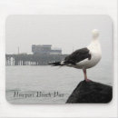 Search for pier electronics Coastal