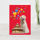 Search for yellow lab birthday cards Cute