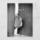 Search for attentiveness postcards Attention