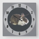 Search for dutch rabbit decor Animal