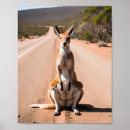 Search for kangaroo posters Animal
