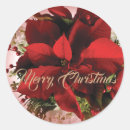 Search for poinsettia round stickers Red green and gold