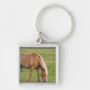 Search for brunswick key rings Nobody