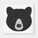 Search for big bear magnets Nature