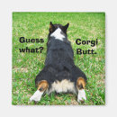 Search for corgis magnets Dog