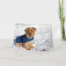 Search for yorkie christmas cards Dog