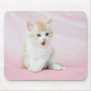 Search for cat yawning mousepads Studio shot