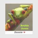 Search for big eye stickers Frog