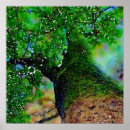 Search for tree hugging posters Green