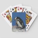 Search for penguins playing cards Birds