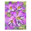 Search for crocuses Floral